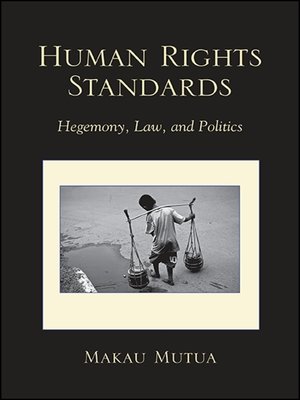 cover image of Human Rights Standards